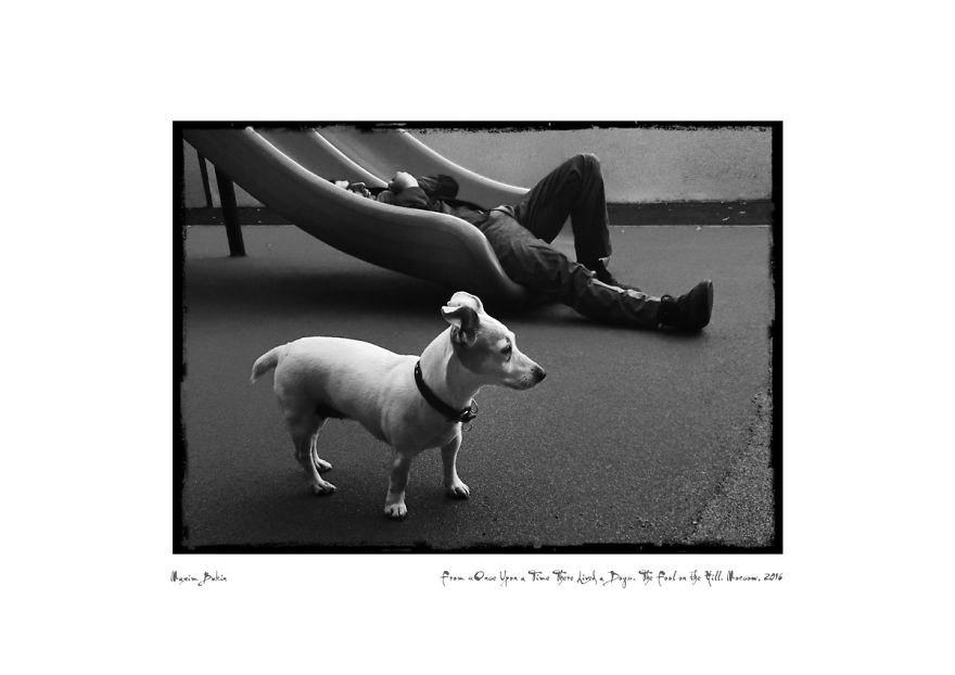 The Fool On The Hill (31 Jun. 2016)