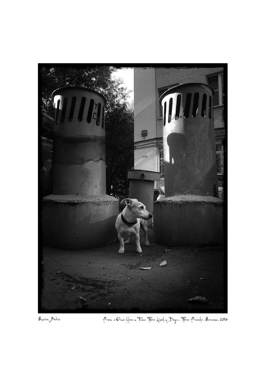 Three Friends (25 Aug. 2018)