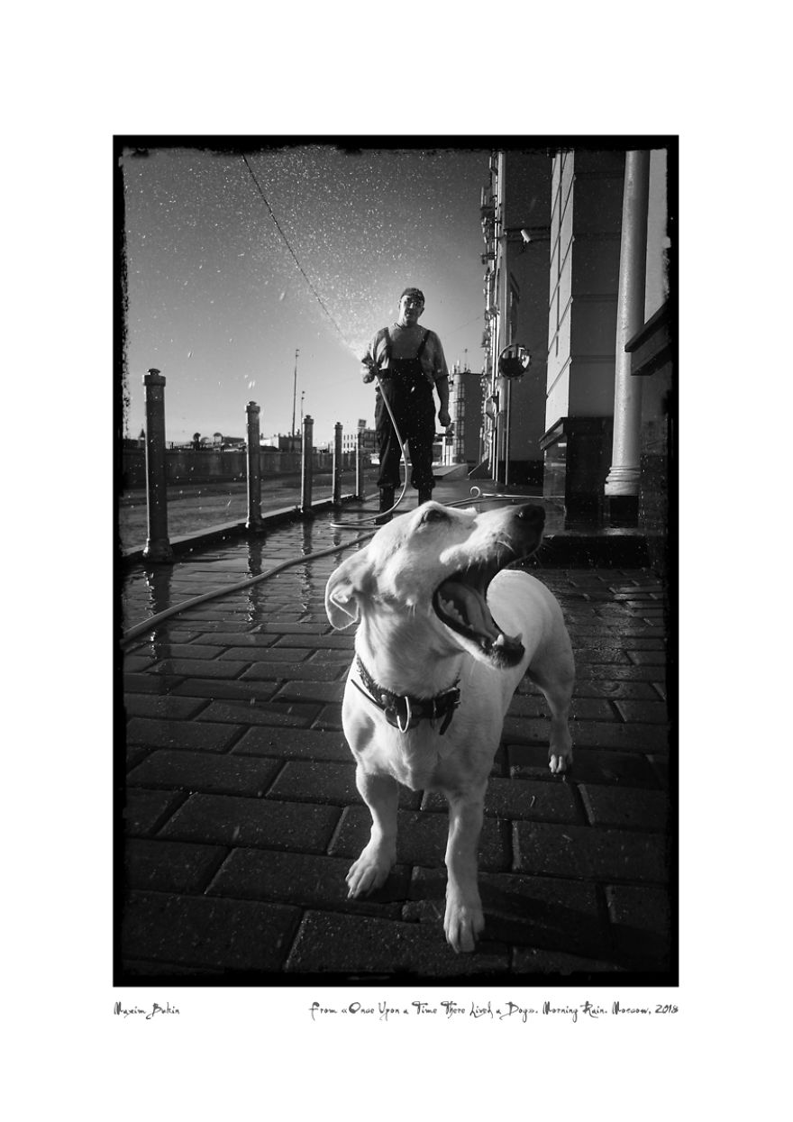 Morning Rain (2 Aug. 2018)