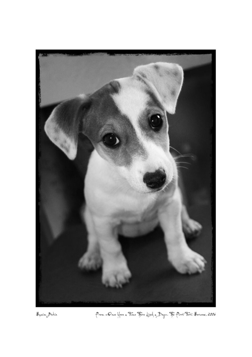 The First Test (5 Nov. 2006)