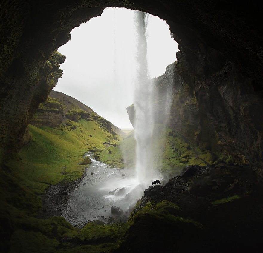 Soulful Portraits Of Dogs In Breathtaking Landscapes