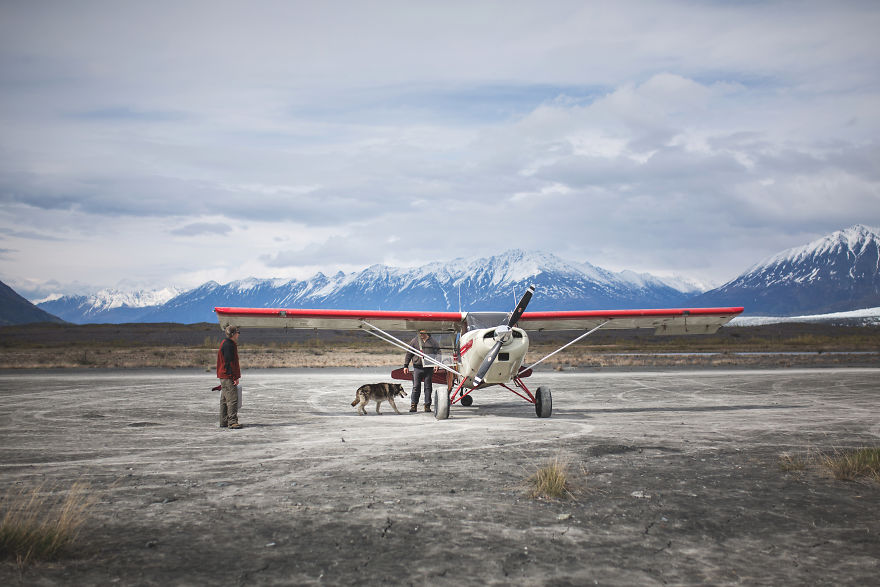 Soulful Portraits Of Dogs In Breathtaking Landscapes