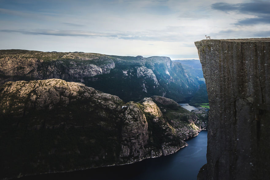Soulful Portraits Of Dogs In Breathtaking Landscapes