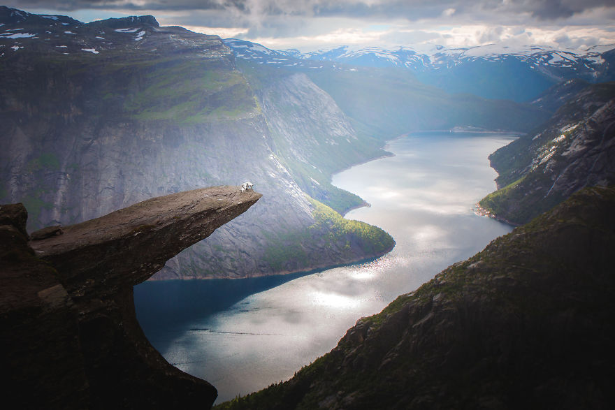 Soulful Portraits Of Dogs In Breathtaking Landscapes