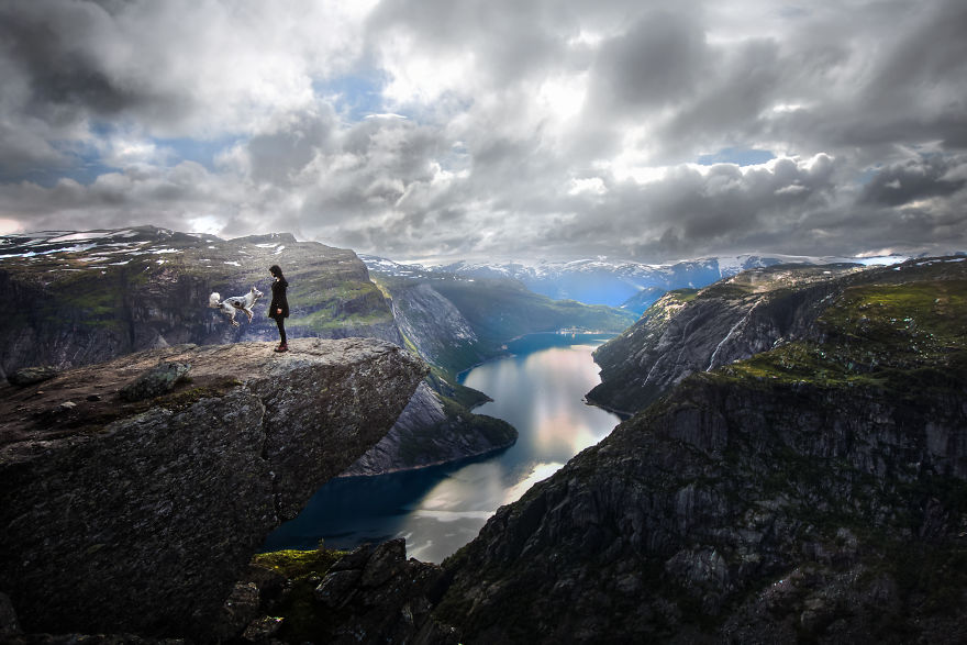 Soulful Portraits Of Dogs In Breathtaking Landscapes