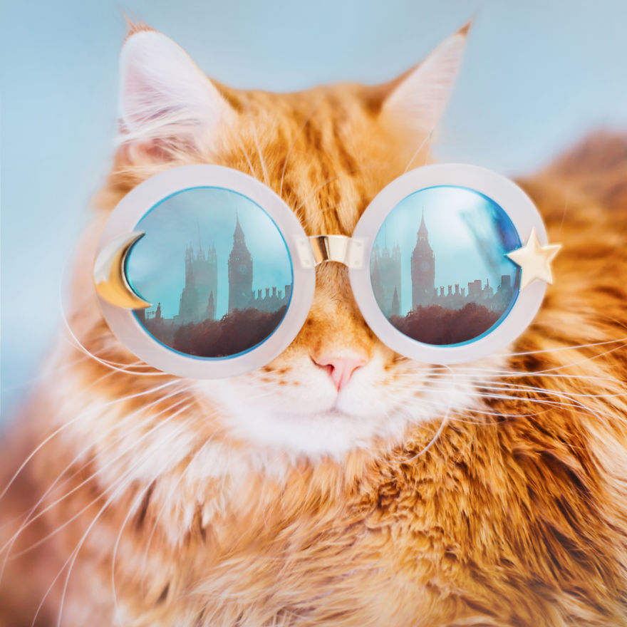 The Cutlet Cat - What Happens If You Are A Bright Red Inspirer