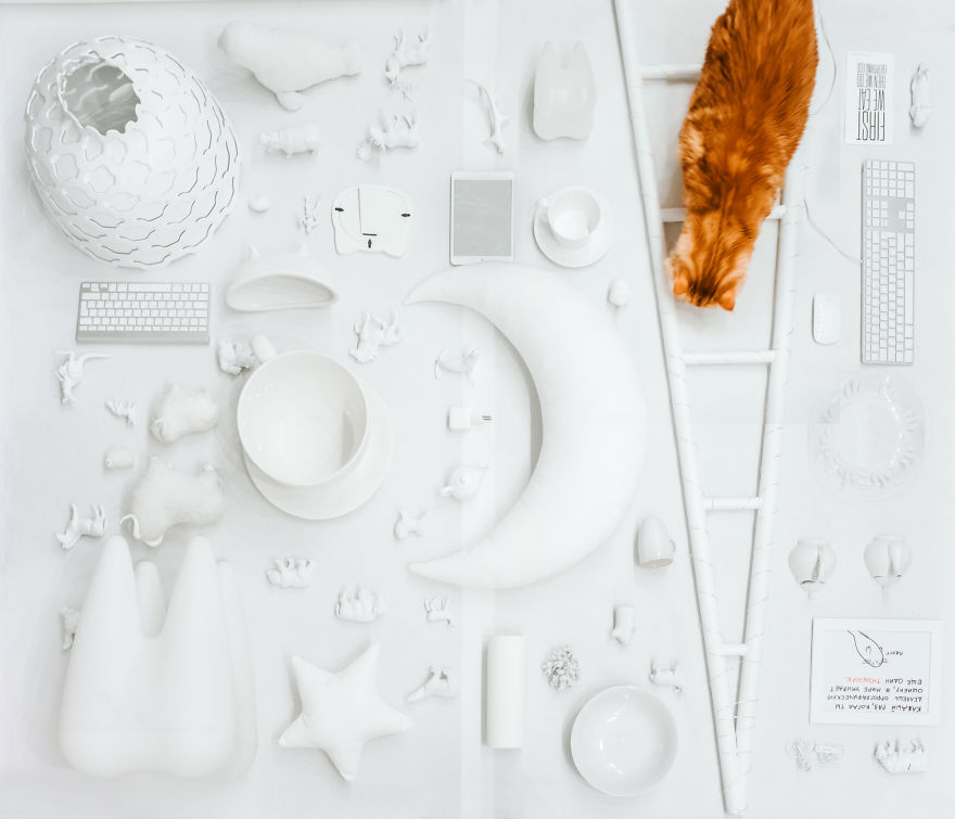 The Cutlet Cat - What Happens If You Are A Bright Red Inspirer