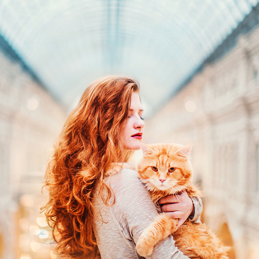 The Cutlet Cat - What Happens If You Are A Bright Red Inspirer