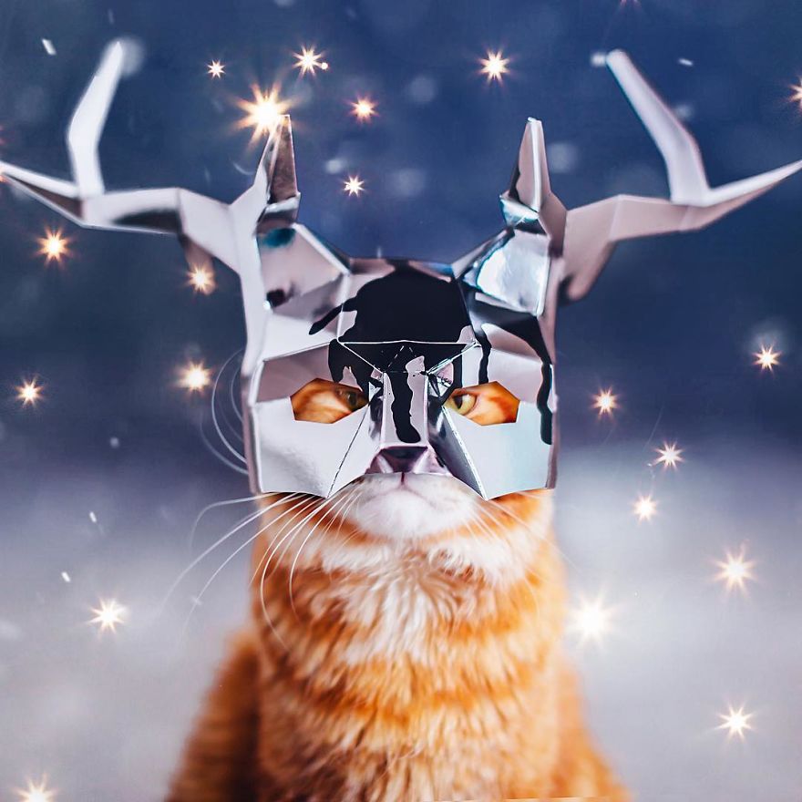 The Cutlet Cat - What Happens If You Are A Bright Red Inspirer