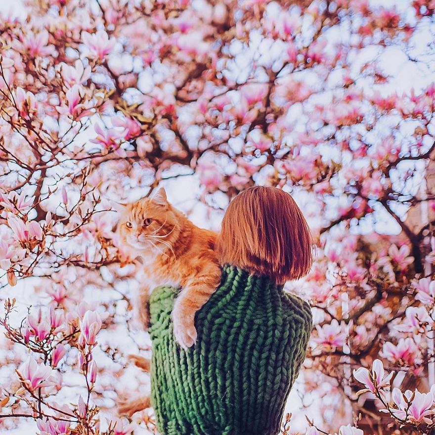 The Cutlet Cat - What Happens If You Are A Bright Red Inspirer