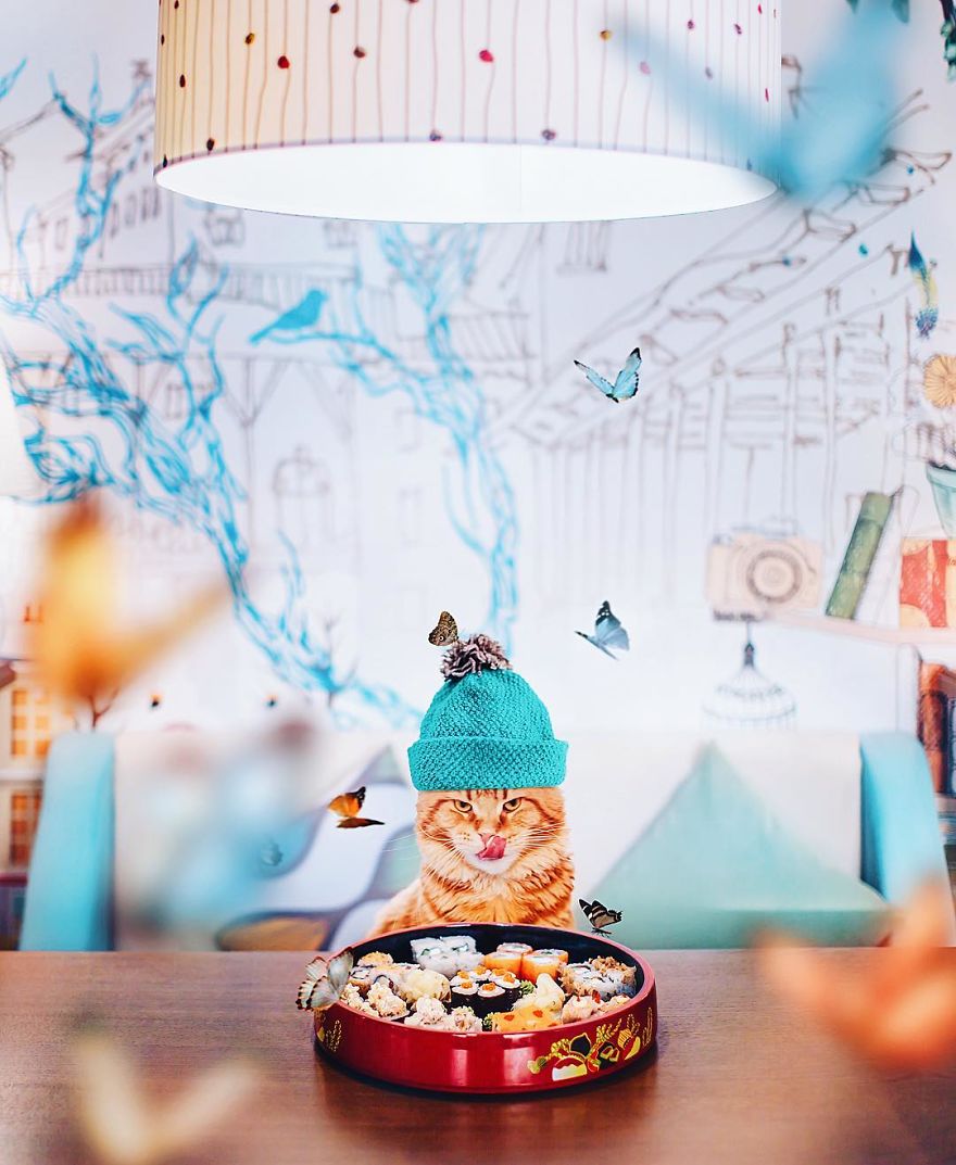 The Cutlet Cat - What Happens If You Are A Bright Red Inspirer