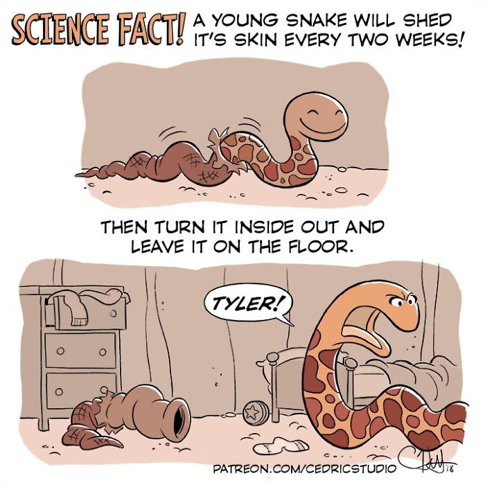 These Comics Will Make You Smile