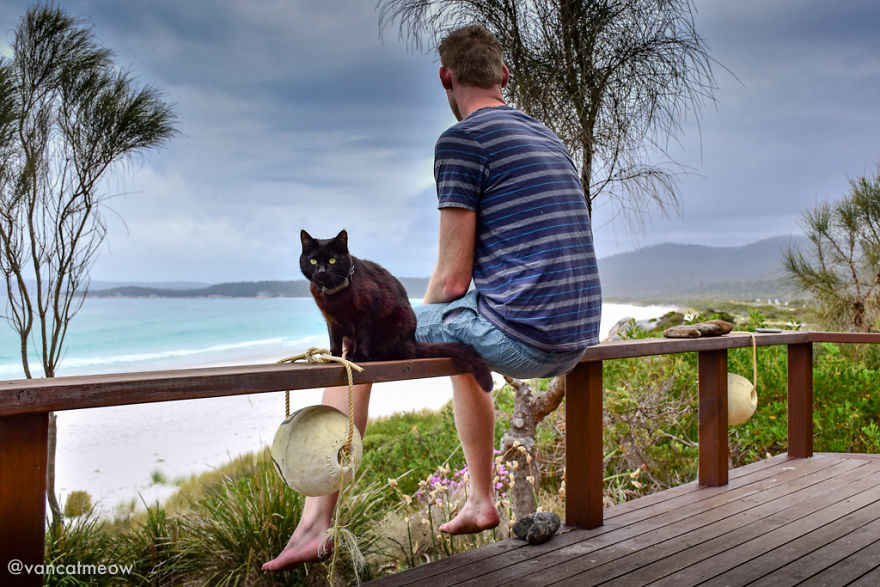 I Spent Over 3 Years Traveling With My Cat In A Campervan I Spent Over 3 Years Traveling With My Cat In A Campervan