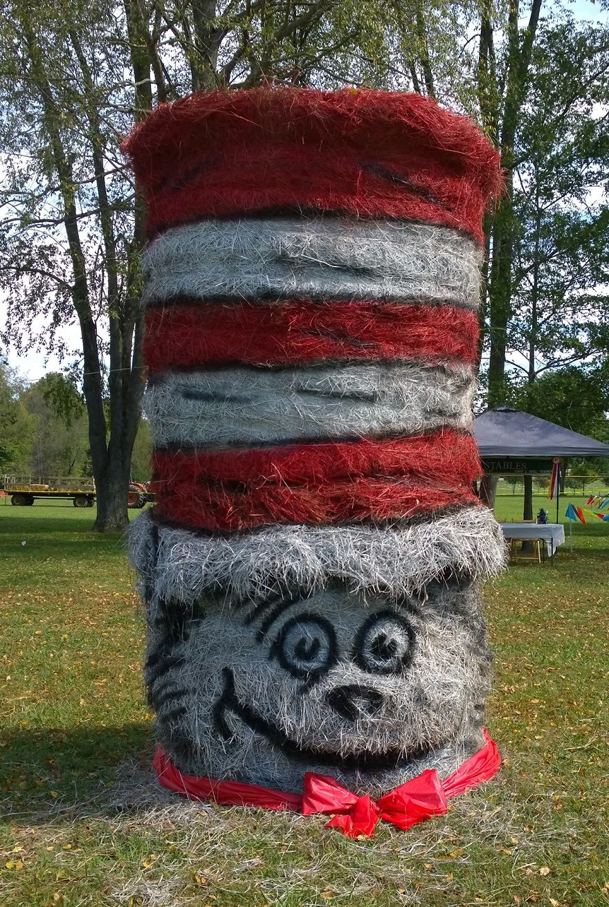 The Cat In The Hat With A Table Runner Necktie