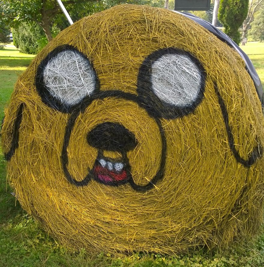 Jake From Adventure Time