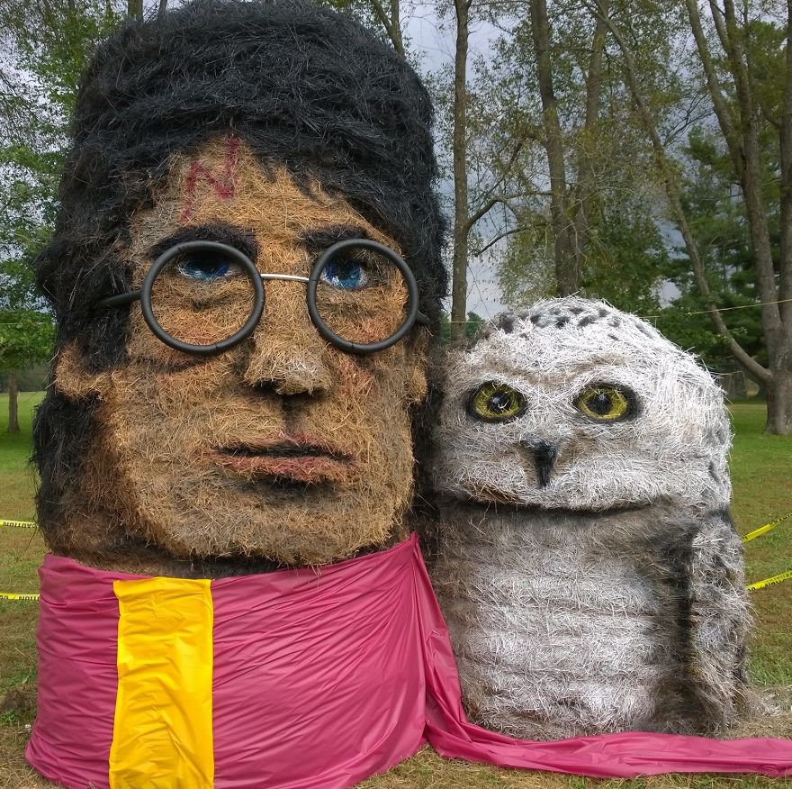 Harry Potter And Hedwig