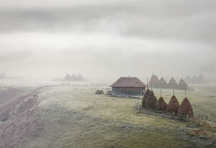 I Have Been Looking For Dracula In Transylvania, But I Found This Instead