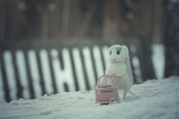 You Will Forgive Them Again And Again: Extremely Cute Mice With A Heartwarming Look