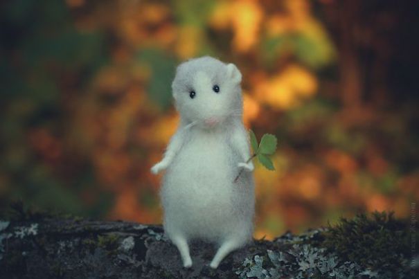 You Will Forgive Them Again And Again: Extremely Cute Mice With A Heartwarming Look