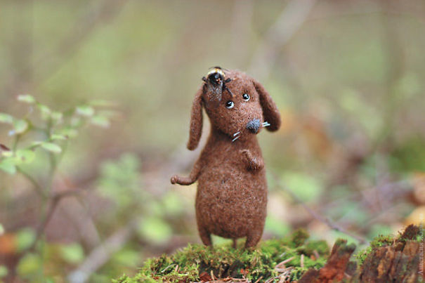 You Will Forgive Them Again And Again: Extremely Cute Mice With A Heartwarming Look