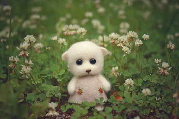 You Will Forgive Them Again And Again: Extremely Cute Mice With A Heartwarming Look