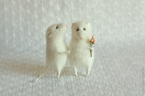 You Will Forgive Them Again And Again: Extremely Cute Mice With A Heartwarming Look