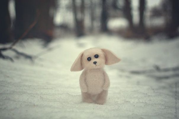 You Will Forgive Them Again And Again: Extremely Cute Mice With A Heartwarming Look