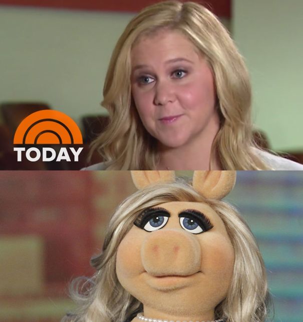 amy-schumer-miss-piggy-pig-5bc62568a445e.jpg