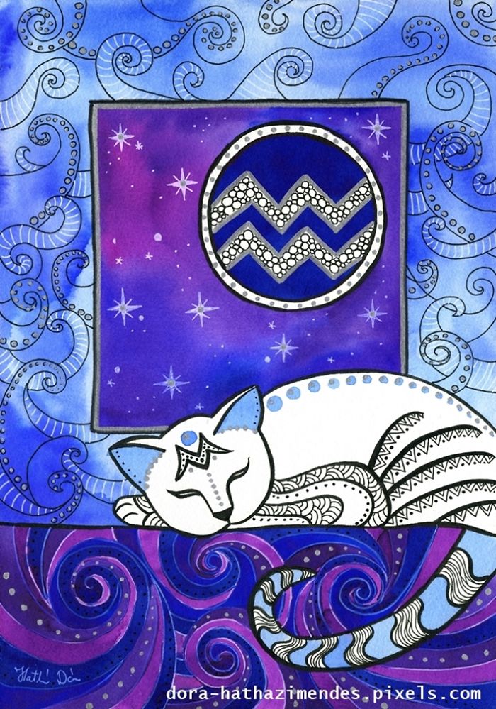 Aquarius Cat Zodiac