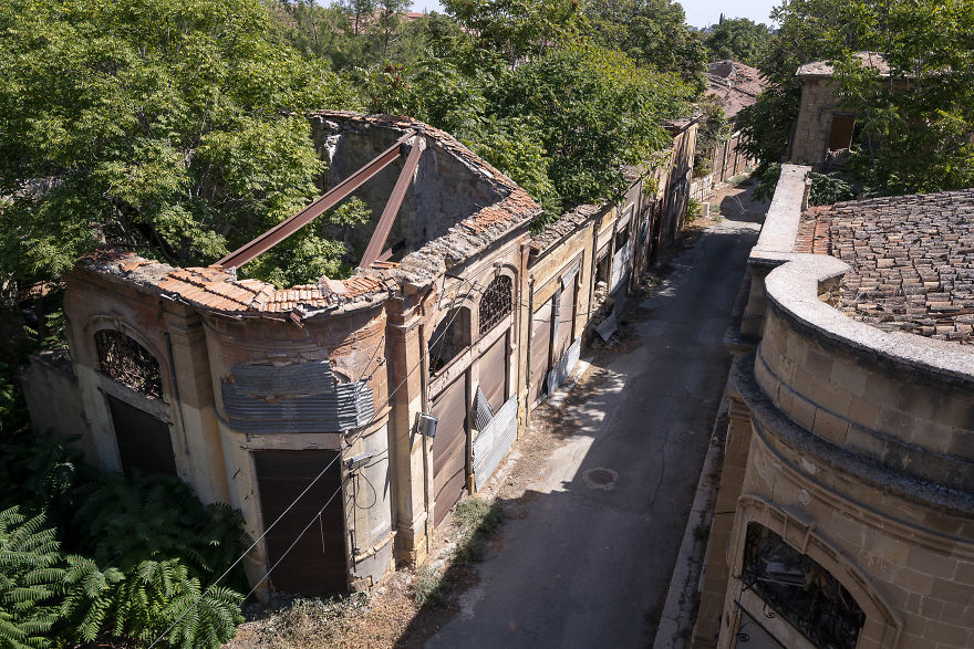 Example Corner Building, Being Reclaimed By Nature