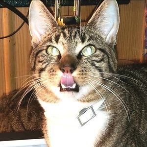 poogers020406 avatar