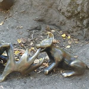 zippythewonderturtle avatar