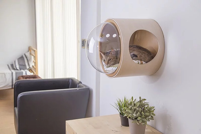 This Company Creates Spaceship-Inspired Cat Beds And It Costs $97