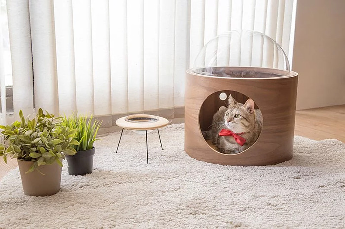 This Company Creates Spaceship-Inspired Cat Beds And It Costs $97