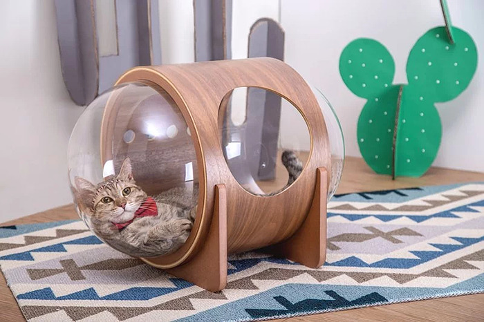 This Company Creates Spaceship-Inspired Cat Beds And It Costs $97 This Company Creates Spaceship-Inspired Cat Beds And It Costs $97