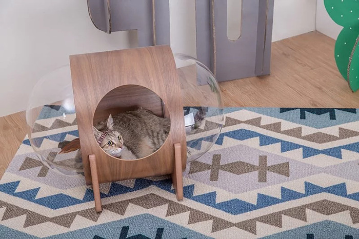 This Company Creates Spaceship-Inspired Cat Beds And It Costs $97