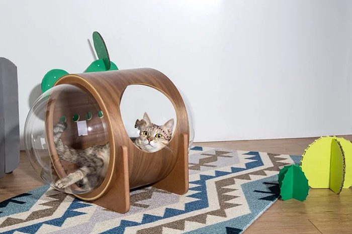 This Company Creates Spaceship-Inspired Cat Beds And It Costs $97 This Company Creates Spaceship-Inspired Cat Beds And It Costs $97