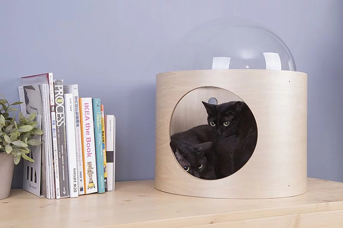 This Company Creates Spaceship-Inspired Cat Beds And It Costs $97