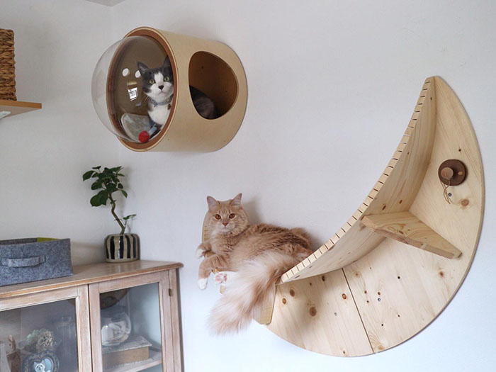 This Company Creates Spaceship-Inspired Cat Beds And It Costs $97 This Company Creates Spaceship-Inspired Cat Beds And It Costs $97