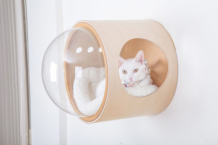 This Company Creates Spaceship-Inspired Cat Beds And It Costs $97