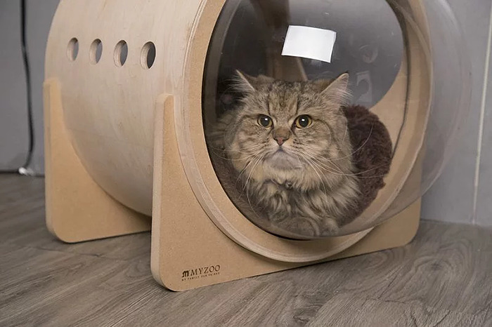 This Company Creates Spaceship-Inspired Cat Beds And It Costs $97 This Company Creates Spaceship-Inspired Cat Beds And It Costs $97