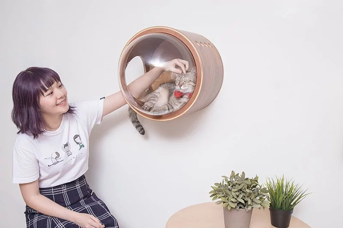This Company Creates Spaceship-Inspired Cat Beds And It Costs $97 This Company Creates Spaceship-Inspired Cat Beds And It Costs $97