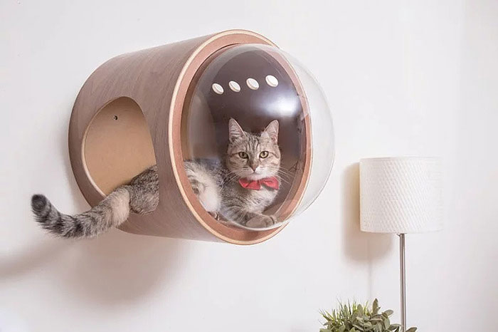 This Company Creates Spaceship-Inspired Cat Beds And It Costs $97