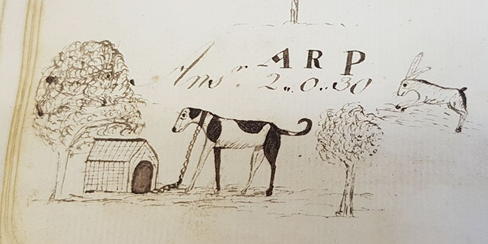 This History Museum Has Made Such A Fascinating Discovery That Even J. K. Rowling Responded