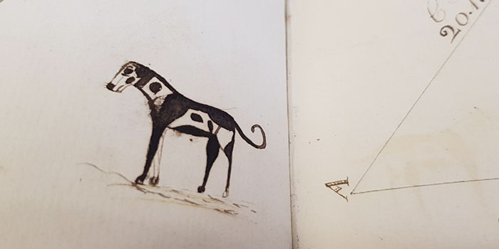 This History Museum Has Made Such A Fascinating Discovery That Even J. K. Rowling Responded