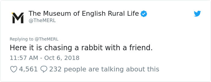 This History Museum Has Made Such A Fascinating Discovery That Even J. K. Rowling Responded This History Museum Has Made Such A Fascinating Discovery That Even J. K. Rowling Responded