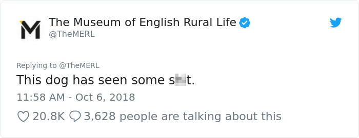 This History Museum Has Made Such A Fascinating Discovery That Even J. K. Rowling Responded This History Museum Has Made Such A Fascinating Discovery That Even J. K. Rowling Responded