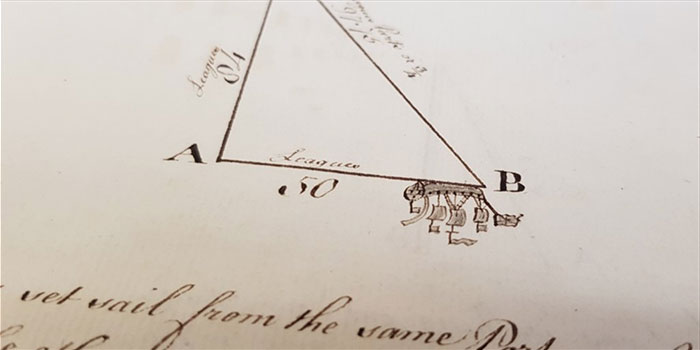 This History Museum Has Made Such A Fascinating Discovery That Even J. K. Rowling Responded