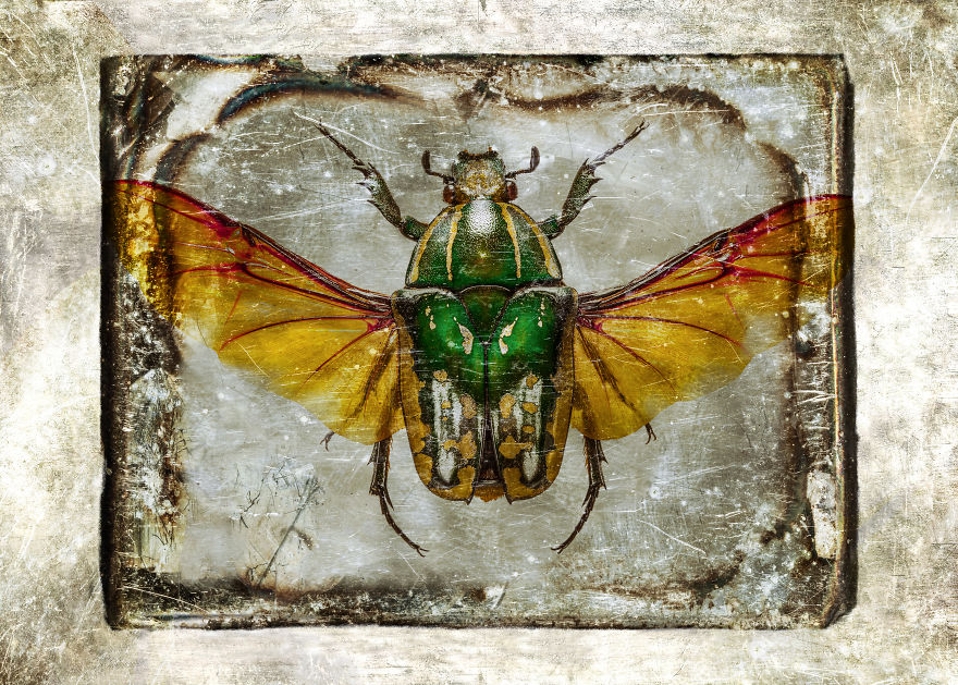 I Combine The Oldest Type Of Photography With Modern Technology Creating A New Technique Dagegraphy