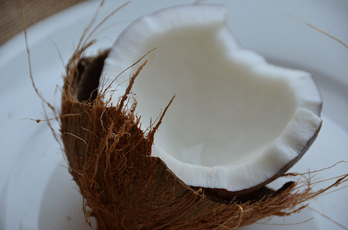 coconut-platypus-classification-problem-tumblr-post-1